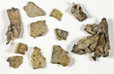 以色列重大考古发现 比昆兰“死海古卷”还要古老的《圣经》卷抽残卷
